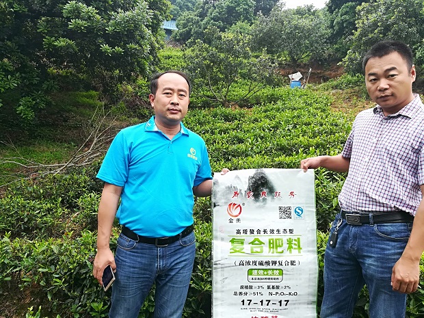 肥效展示二